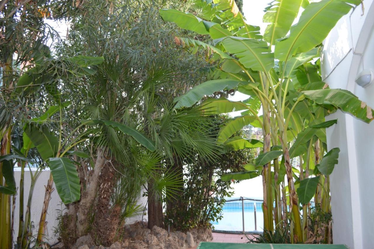 Il Kent Apartman Ischia Kültér fotó